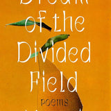 Dream of the Divided Field