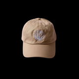 CCM Logo Dad Hats