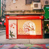 Chinatowns: Tong Yan Gaai by Morris Lum [SIGNED]